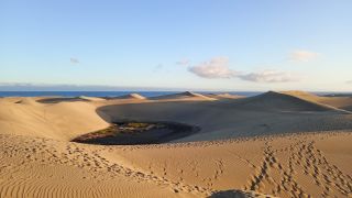 GC-Dunas de Maspalomas sunset 2026-108.jpg